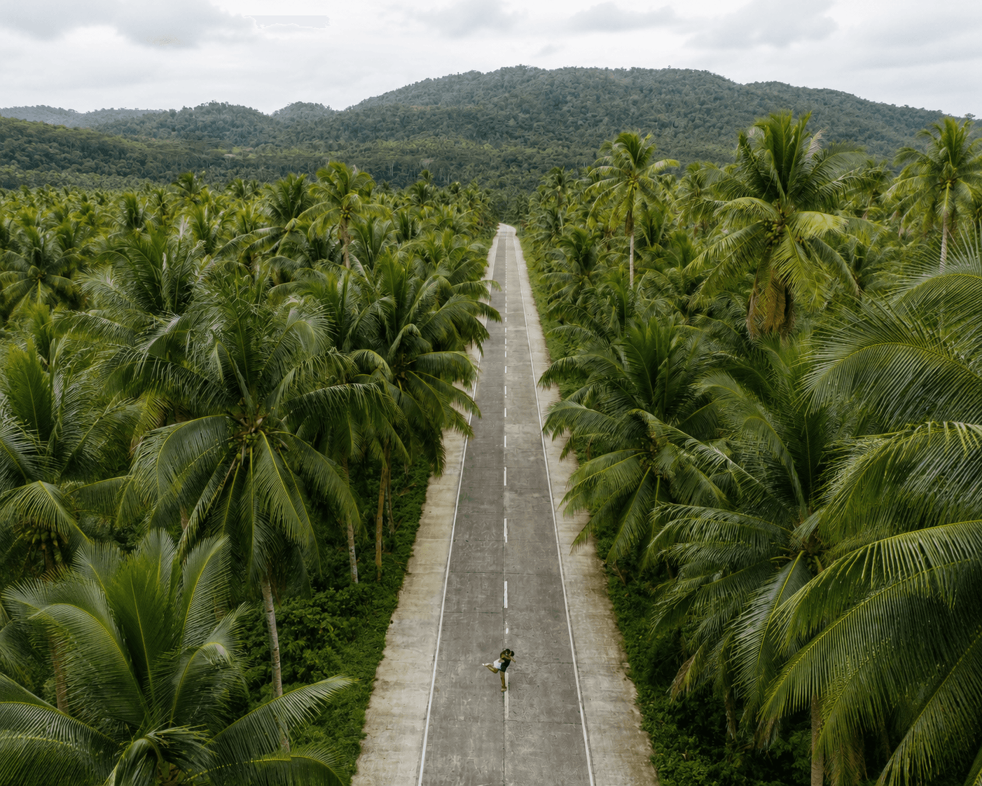 Coconut View